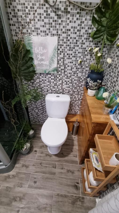 Place 4 U Studio Center 자다르 외부 사진